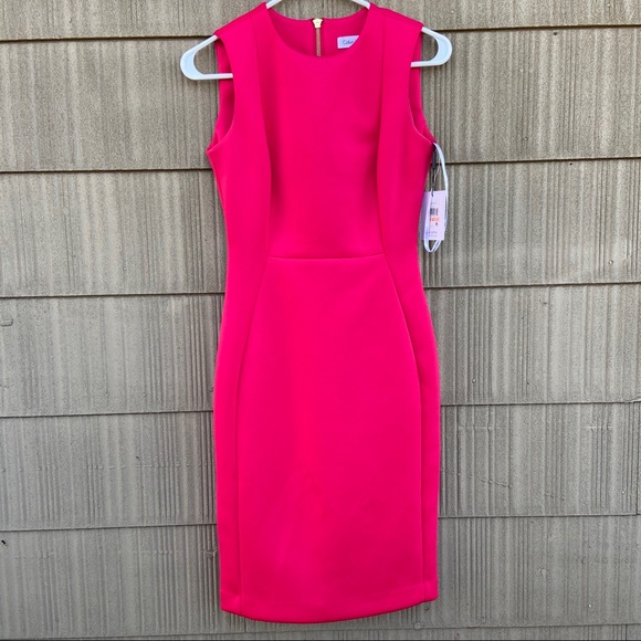 NWT Calvin Klein Bright Pink Bodycon Dress size 2 - Picture 3 of 6